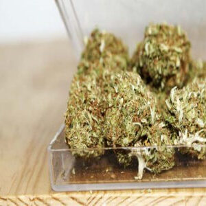 Køb White Widow online