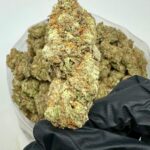 Hvor kan man købe Super Lemon Haze online