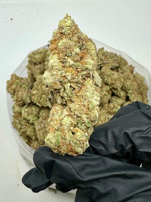 Hvor kan man købe Super Lemon Haze online